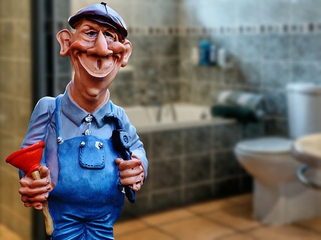plumber somerset west
